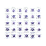 Plak Smacker Plaque Disclosing Tablets , set of 30 tablets