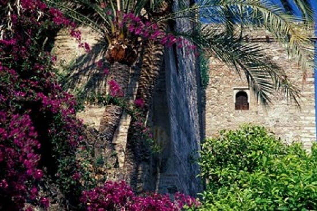 Plams Flowers and Ramparts of Alcazaba Malaga Spain Canvas Art - John & Lisa Merrill DanitaDelimont (36 x 24)