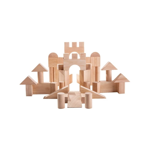 PlanToys 50 Unit Blocks