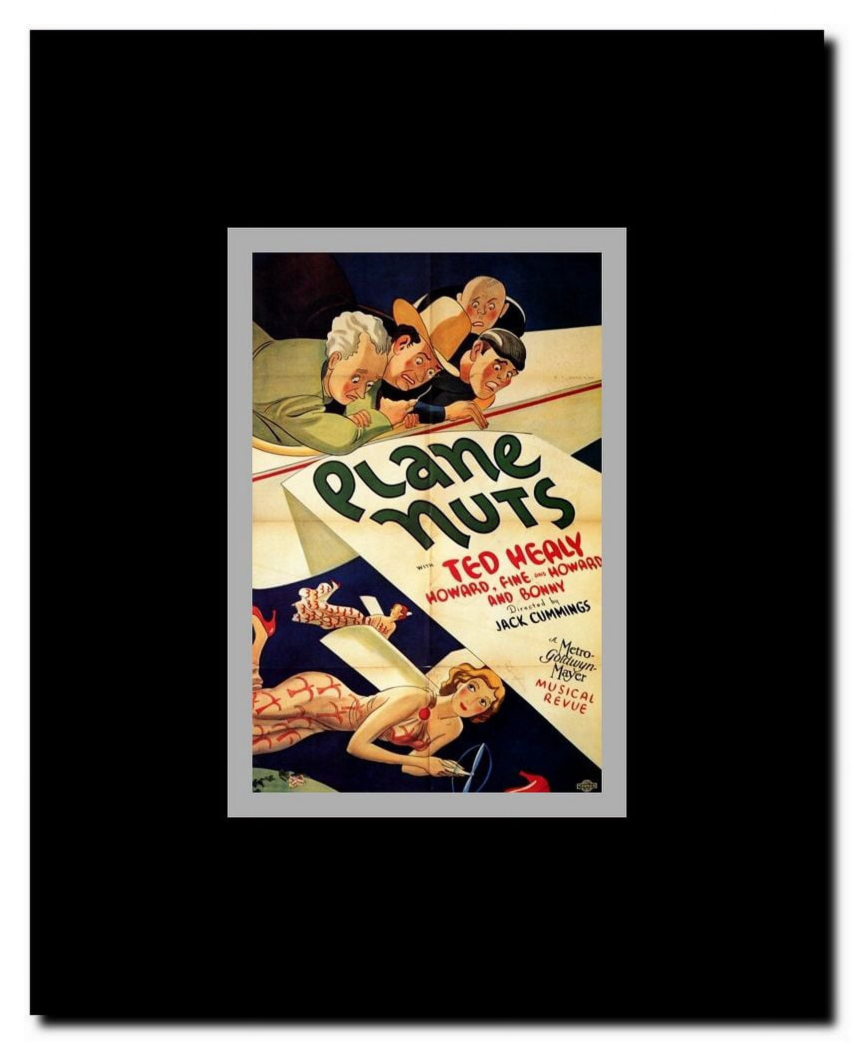 Plane Nuts Framed Movie Poster