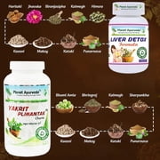 Planet Ayurveda LIVER CARE KIT