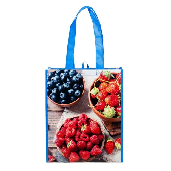 Planet E Designs Reusable Bag