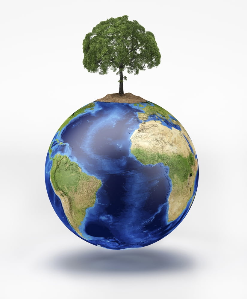 Planet Earth with a tree growing on top Canvas Art - Leonello CalvettiStocktrek Images (13 x 16)