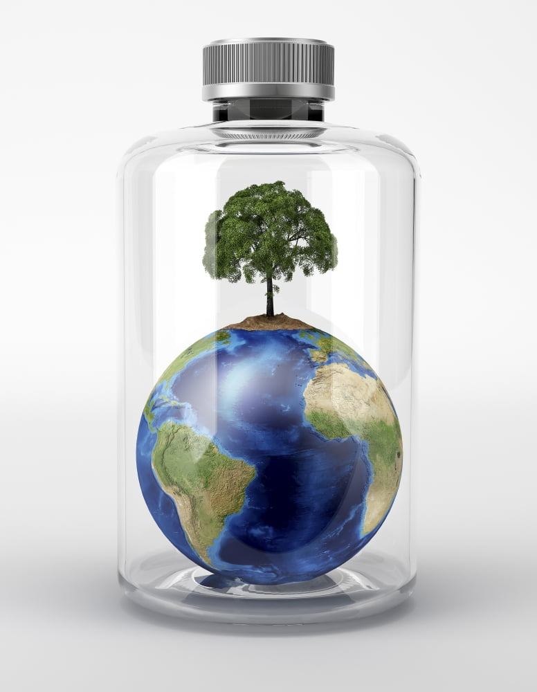 Planet Earth with a tree on top inside a glass bottle Canvas Art - Leonello CalvettiStocktrek Images (13 x 16)
