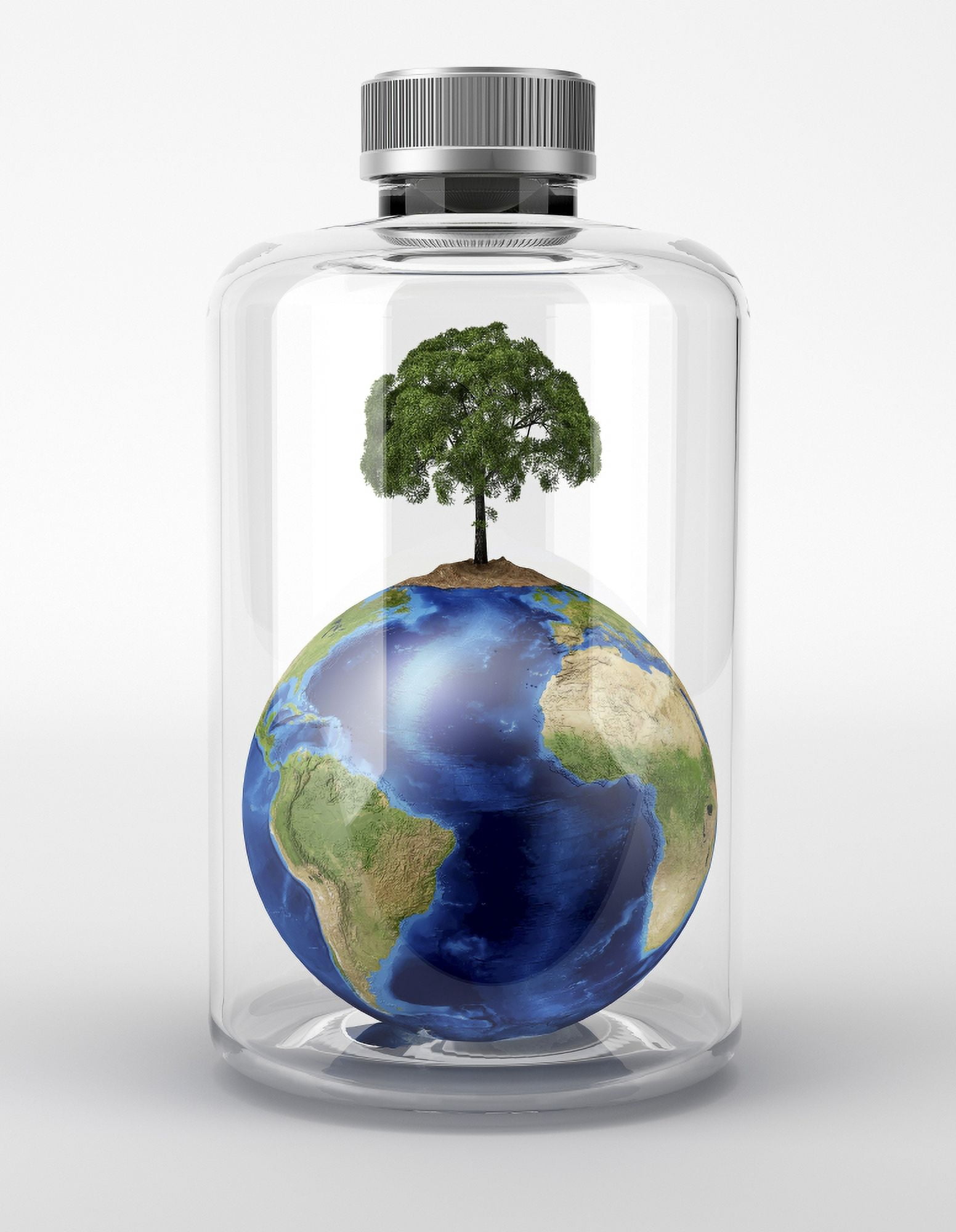 Planet Earth with a tree on top inside a glass bottle Canvas Art - Leonello CalvettiStocktrek Images (25 x 32)