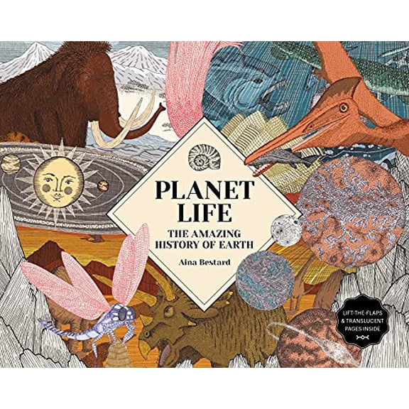 Pre-Owned Planet Life: The Amazing History of Earth (Hardcover) 1734761873 9781734761870