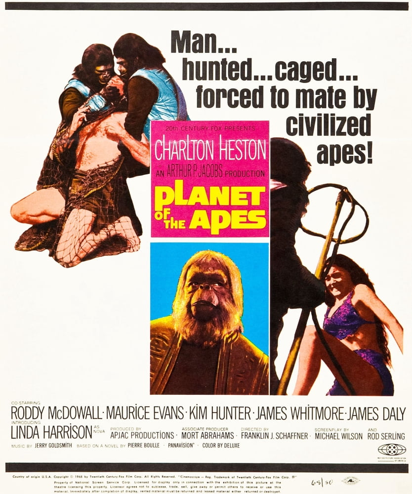 Planet Of The Apes Canvas Art - (11 x 17)