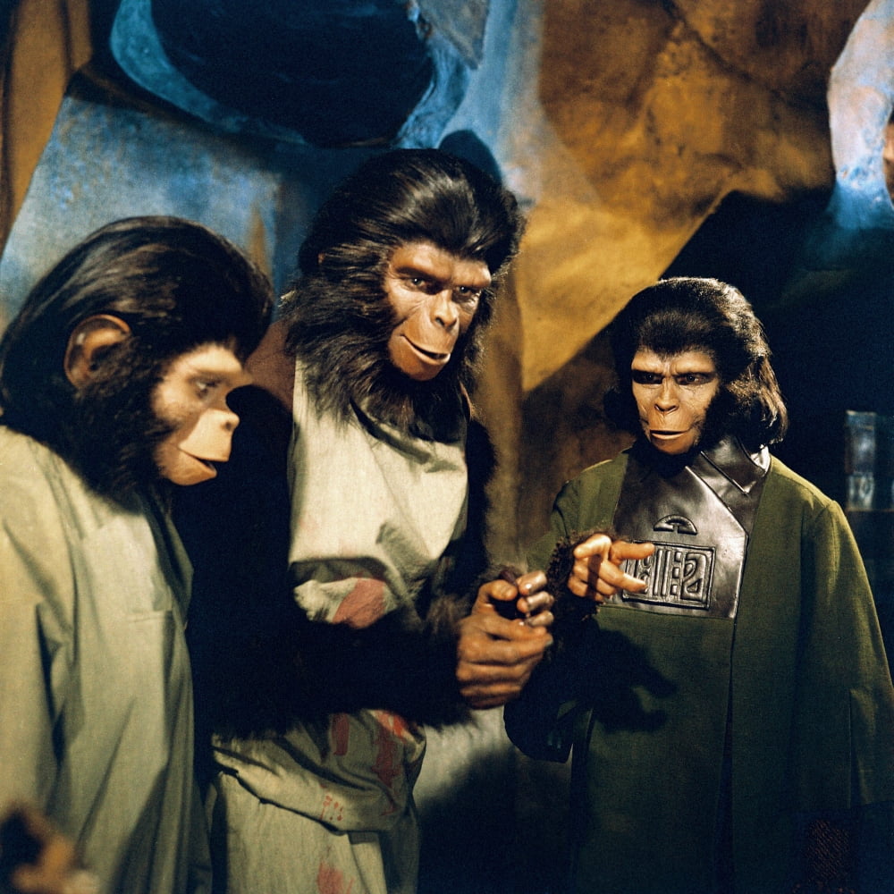 Planet Of The Apes Canvas Art -  (16 x 20)