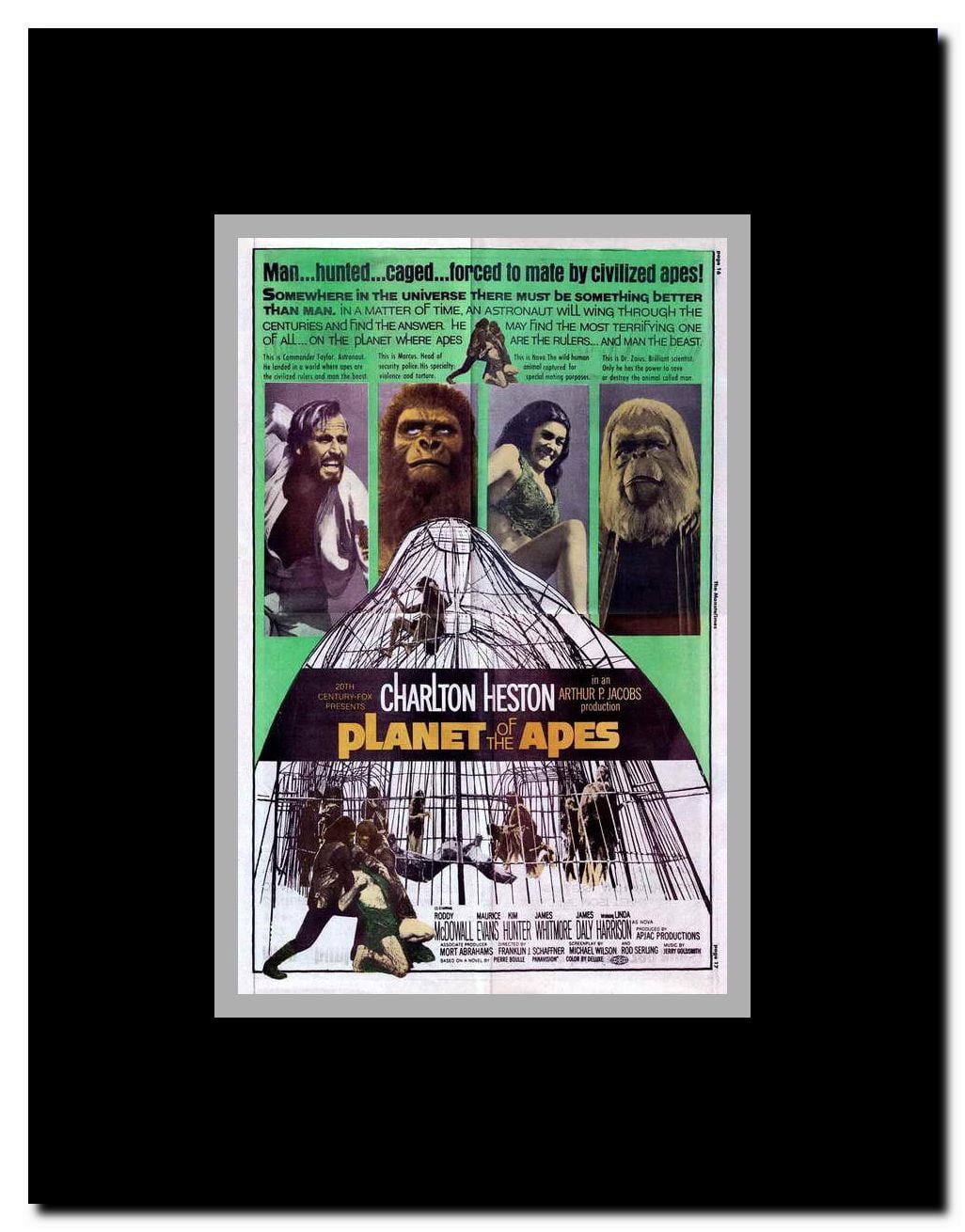 Planet of the Apes Framed Movie Poster
