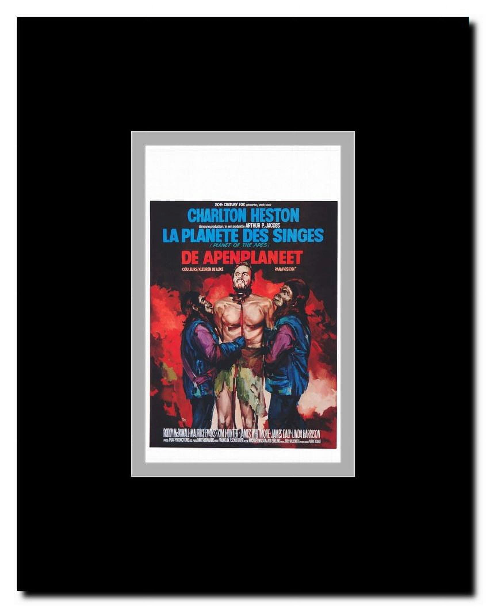 Planet of the Apes Framed Movie Poster