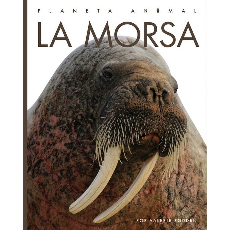 Planeta Animal: La Morsa (Hardcover) 