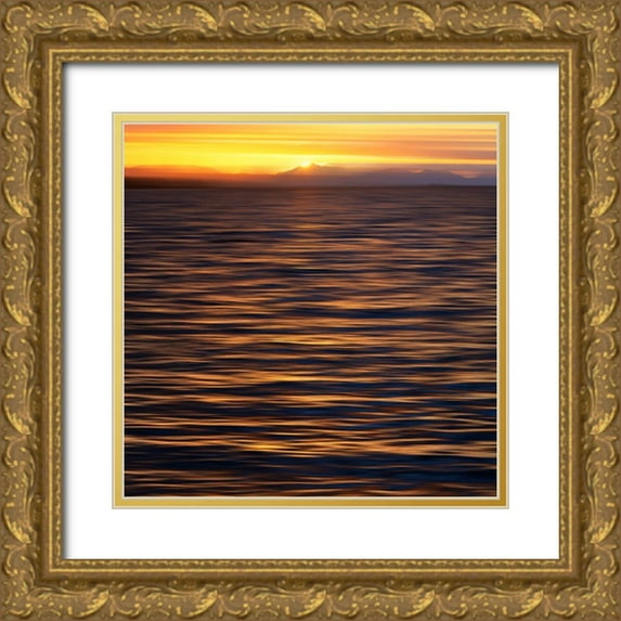 Plank, Savanah 15x15 Gold Ornate Wood Framed with Double Matting Museum Art Print Titled - USA, Southeast Alaska, Ketchik