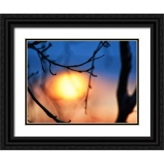 Plank, Savanah 24x19 Black Ornate Wood Framed with Double Matting Museum Art Print Titled - Abstract Sunset