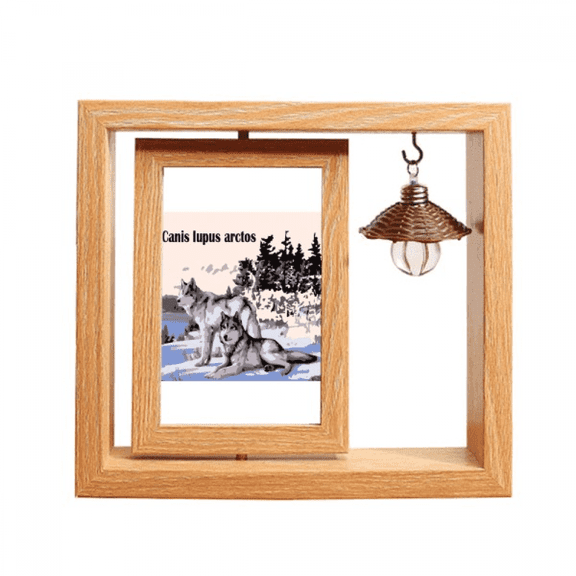 Plankton Water Tiny Art Deco  Fashion Wooden Rotating Picture Photo Frame 4x6