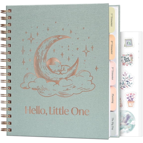 Planner Journal - Log Book & with Prompts, Checklists, Calendars - Spiral-Bound Memory Book for Moms-to-Be, 8.3x9.3" (Ice River)