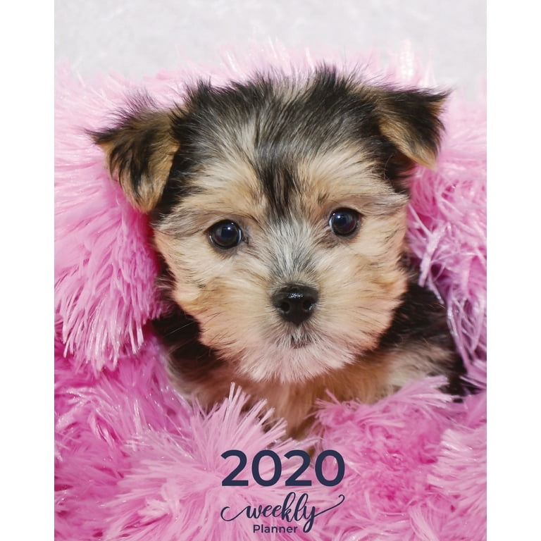 Morkie gifts cheap