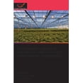 thumbnail image 1 of Planowanie upraw w fabrykach roślin w celu zwiększenia wydajności, (Paperback), 1 of 1