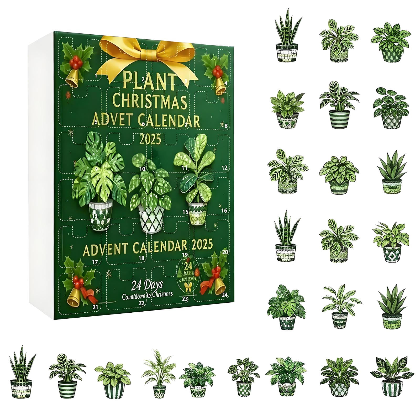 Photo inspiration: Fresh Look at Plant Advent Calendar 2025 24 Day Christmas Countdown Box With