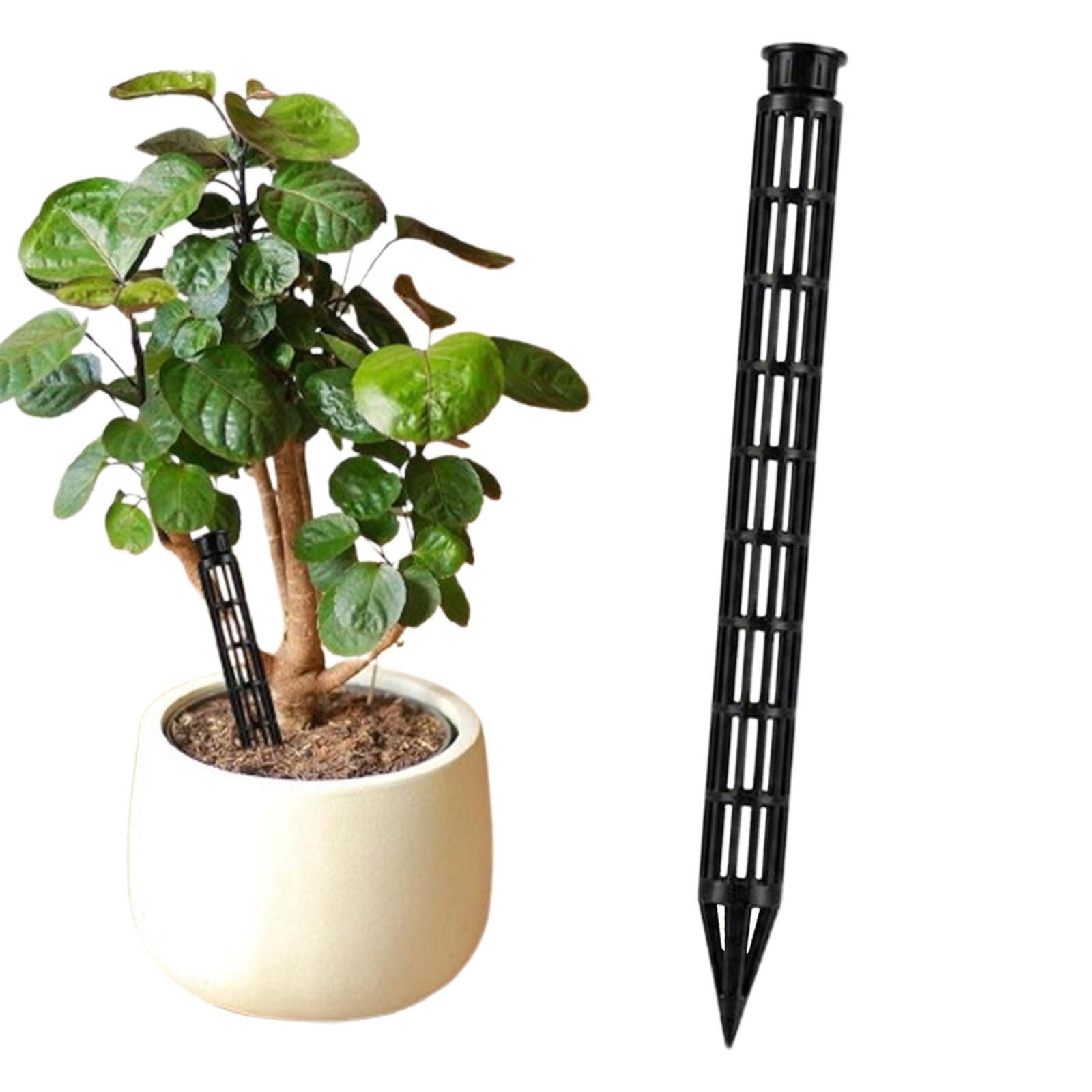 Plant Aeration Tubes for Pots -Root Rot Prevention,Prevent Overwatering ...
