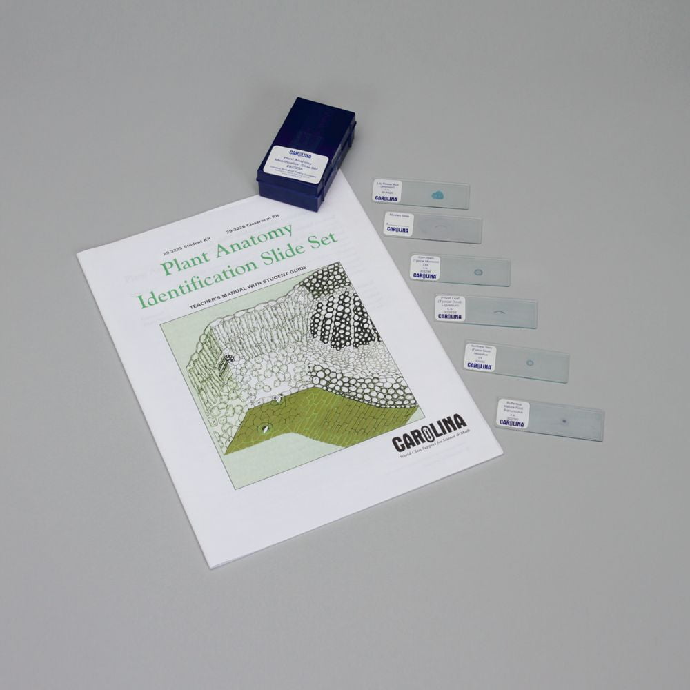Plant Anatomy Identification Student Microscope Slide Set - Walmart.com