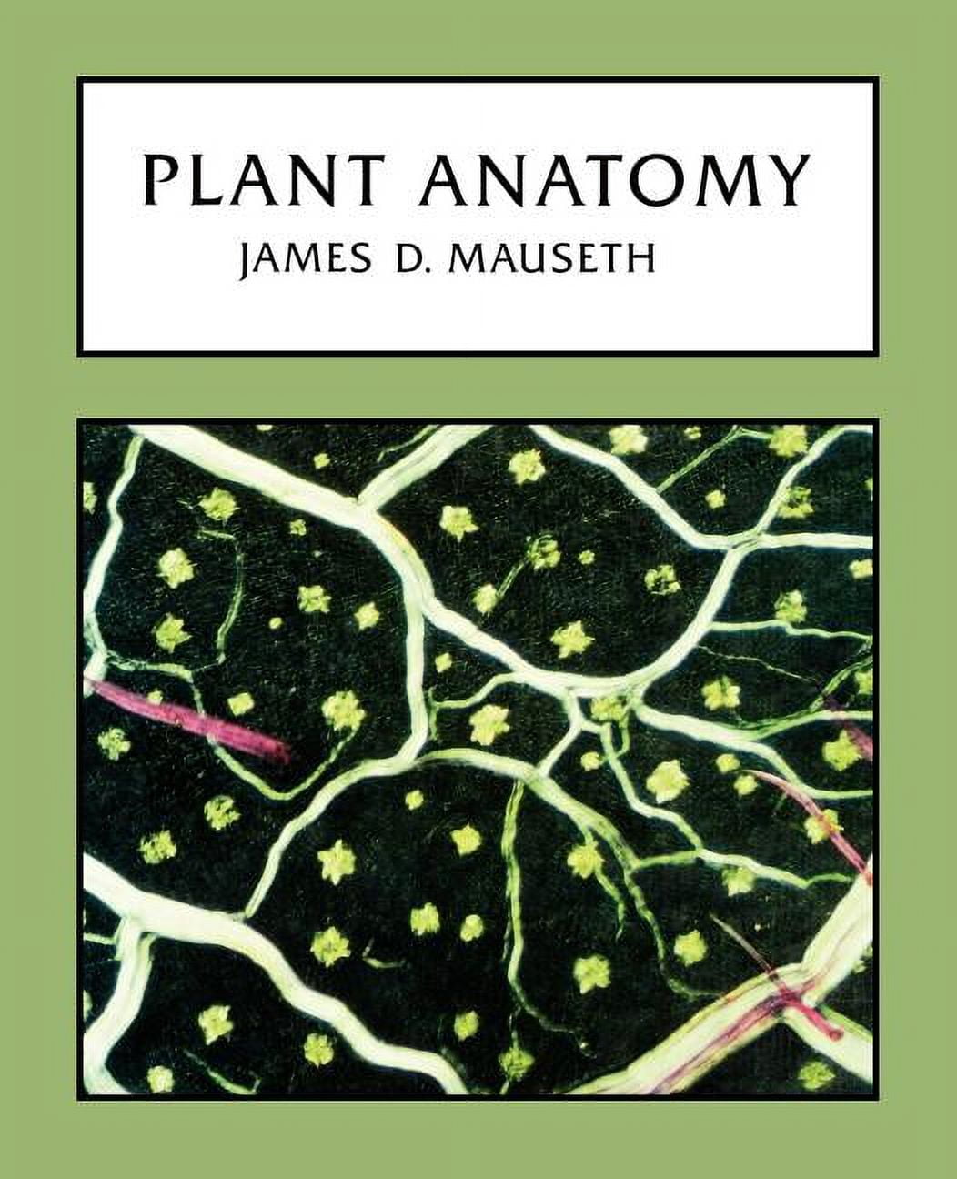 Plant Anatomy (Paperback)