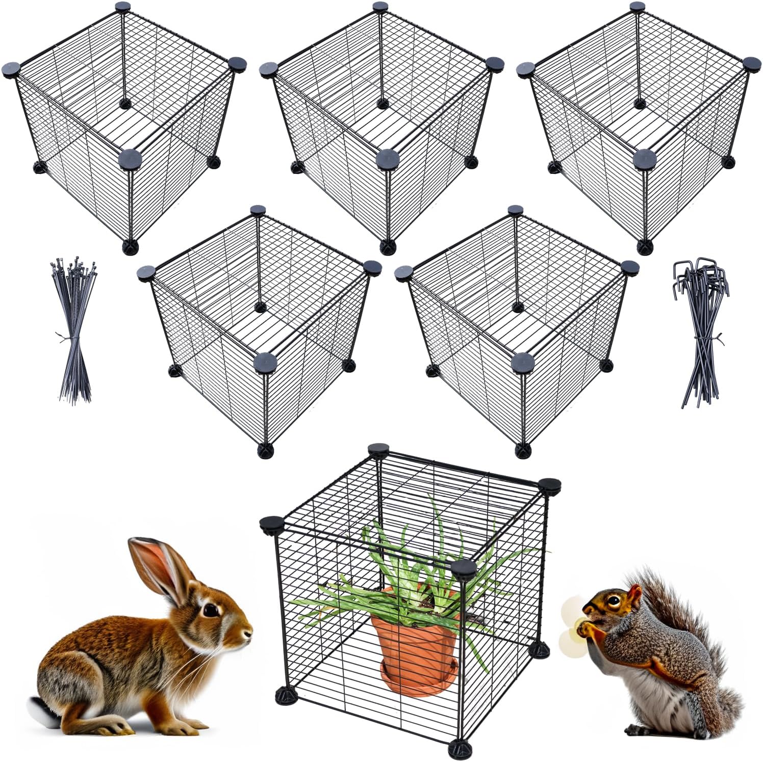 Plant Cages for Outdoor Plants Keep Rabbits from Eating Plants
