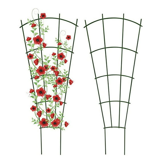 Plant Climbing Support Rack – 16x10 Inch Vine Bracket for Courtyard, Wall-Mounted Garden Trellis.