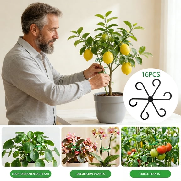 Plant Clips for Climbing Plants, 16 Pack Reusable Plant Support Clips, 4 Sizes Adjustable Garden Clips for Vines, Tomatoes, Flowers, Indoor Outdoor Plant Training Clips (Black)