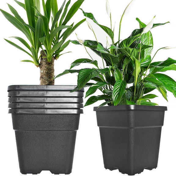 Plant Container Square Nursery Pots Fit for Seeds Germination, Seedlings Growing, Succulents Planting, Seeds Starting, Black
