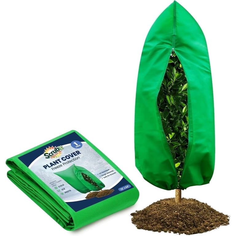 olivenbaum fake Künstlicher Olivenbaum naturgetreu 165cm – Katie Fischer