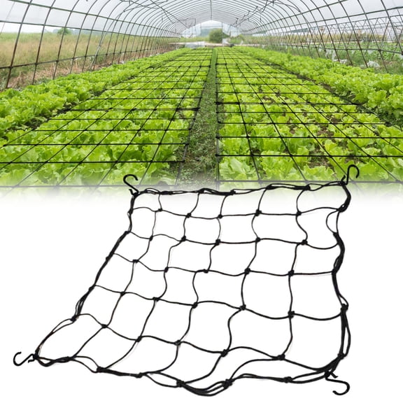 Plant Crimping Netting Net | Elastic Trellis Support for Growing Tents Indoor | Heavy-Duty Polyethylene Rubber Mesh With 6 Stainless Hooks | Fits 40x40 60x60 70x70 80x80 | High Yield
