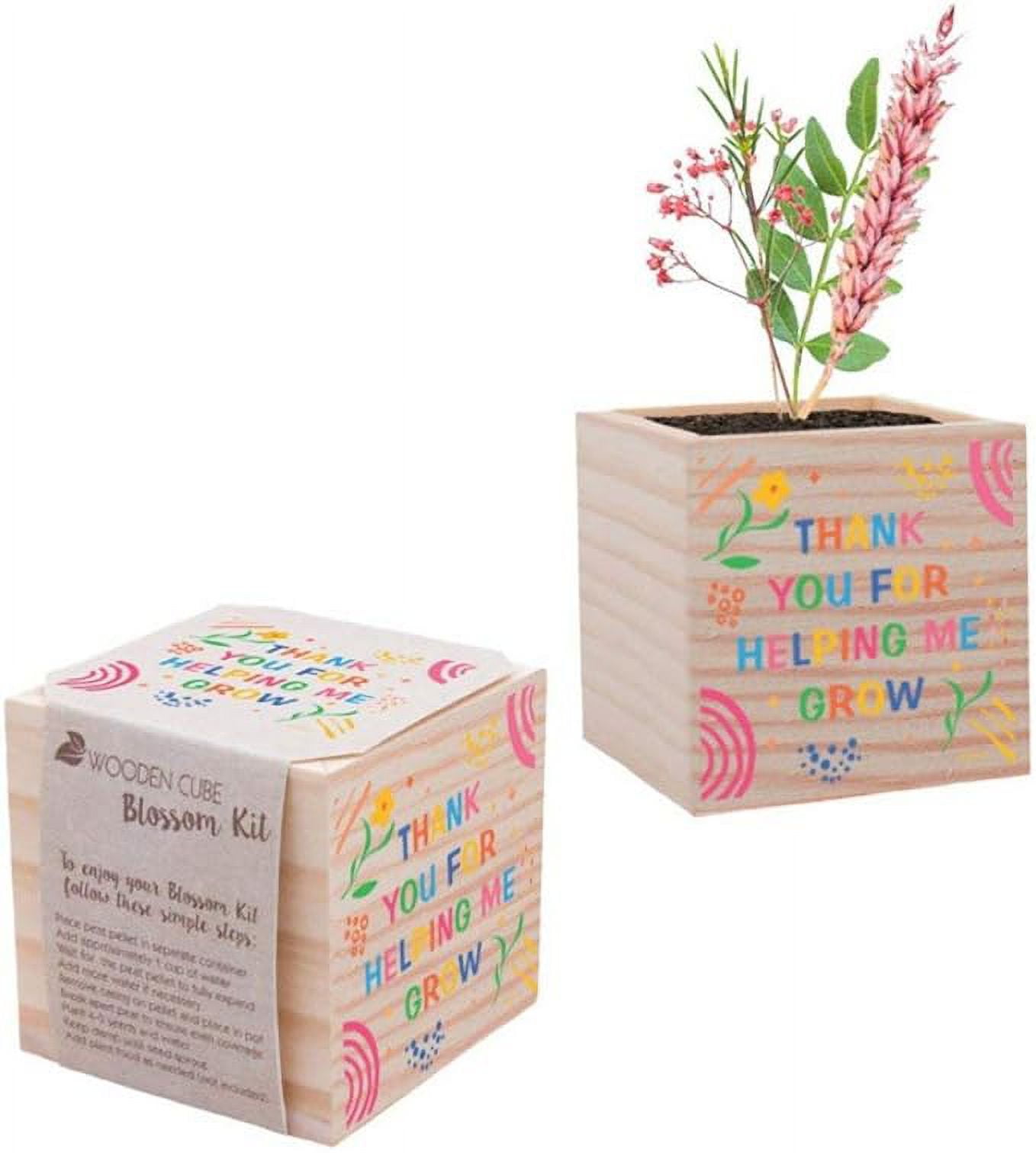 Plant Cube Appreciation Gift - Wildflower Seed Packet, Peat Pellet, and ...