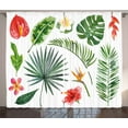thumbnail image 1 of Ambesonne Plant Curtains 2 Panel Set, Heliconia Philodendron, 108" x 108", Multicolor, 1 of 3
