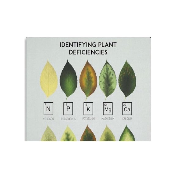 Plant Deficiency Chart Poster Botanical Nutrient Guide Canvas Art