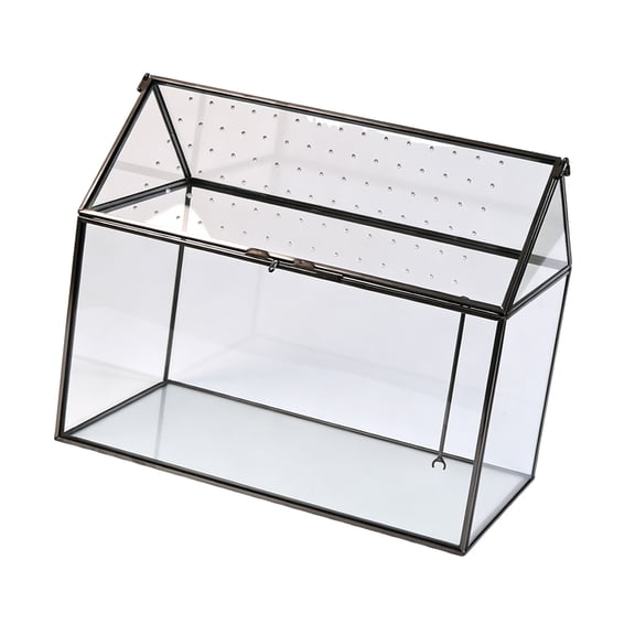 Plant Display Terrarium Box, Vented Glass Enclosure with Clear Panels, Front Clasp and Hinged Top, 10.24 x 5.91 x 8.27 In for Indoor Garden Decor
