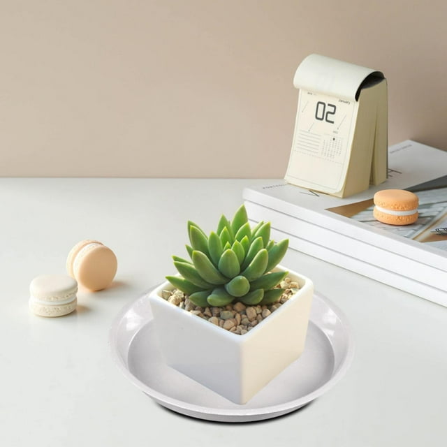 Plant Drip Tray White 220 (Outer 22 Inner 18 Height 2.4Cm) Earlygrow