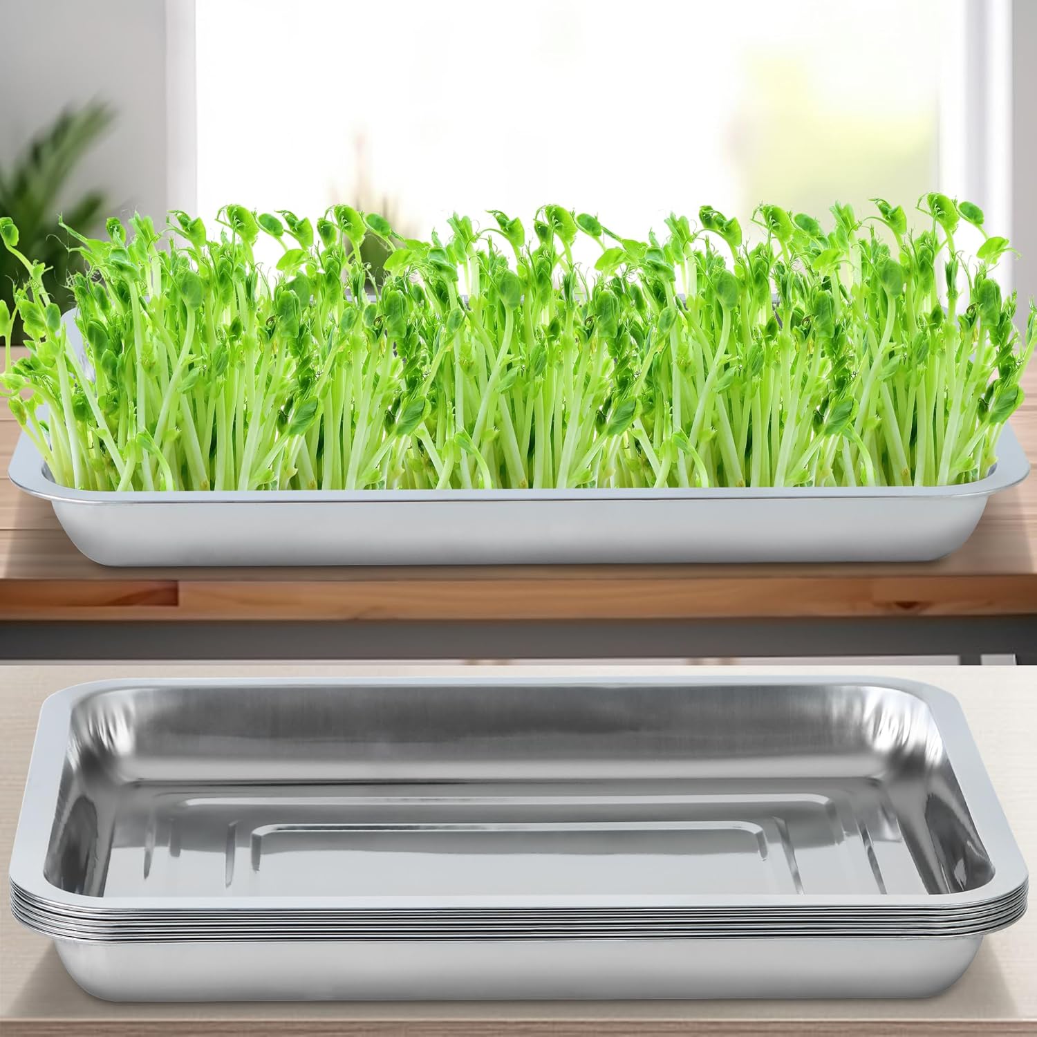 Plant Germination Trays, Stainless Steel Plant Trays Stainless Metal ...