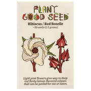 Plant Good Seed Organic Hibiscus Roselle Seeds for Planting: 30 Seed Packet, Edible Leaves, Dark Red Calyxes