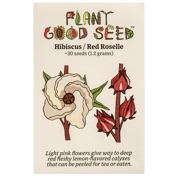 Plant Good Seed Organic Hibiscus Roselle Seeds  for Planting: 30 Seed Packet, Edible Leaves, Dark Red Calyxes