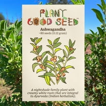 Plant Good Seed Ashwagandha Seeds: Full Sun Annual/Perennial, Withania Somnifera, Certified Organic