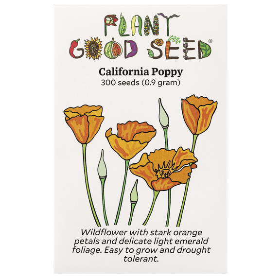 Plant Good Seed California Poppy Seeds: Orange Wildflower, Annual, State Flower Full Sun Part Shade
