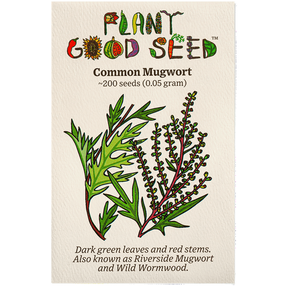Plant Good Seed Common Mugwort Seeds, Organic Artemisia Vulgaris Seeds
