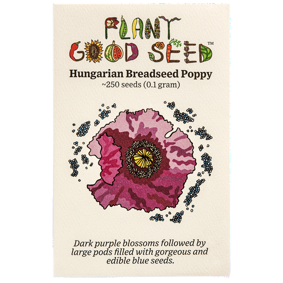 Plant Good Seed Hungarian Breadseed Poppy Seeds for Planting: Organic Full Sun Annual 250 Seed Packet