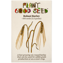 Plant Good Seed Organic Robust Barley Seeds for Planting, 300 Count - Edible Grain, Cold Season Cover Crop