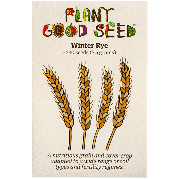 Plant Good Seed Organic Winter Rye Grain Seeds for Planting: 230 Count, Cold Hardy Annual Cover Crop