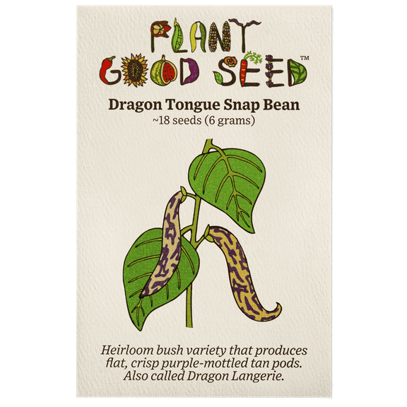 Plant Good Seed Dragon Tongue Snap Bean Seeds for Planting: Succulent Purple Pods, Fresh Snacking