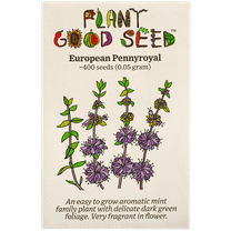Plant Good Seed European Pennyroyal (Mentha Pulegium) Seeds - 400 Seeds, Light Needs, Vegetables