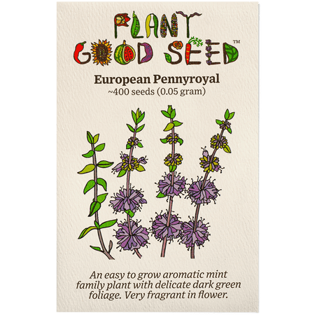 Plant Good Seed Organic European Pennyroyal Seeds for Planting - 400 Count, Perennial Mint Herb