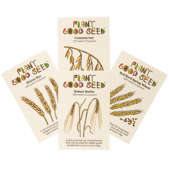 Plant Good Seed Organic Great Grains Seed Collection - 4 Packets - Oat, Wheat, Barley, Rye Heritage Grasses