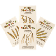 Plant Good Seed Organic Great Grains Seed Collection - 4 Packets - Oat, Wheat, Barley, Rye Heritage Grasses